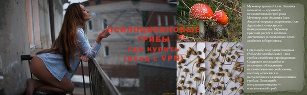 экстази Заводоуковск