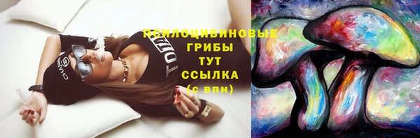 экстази Заводоуковск