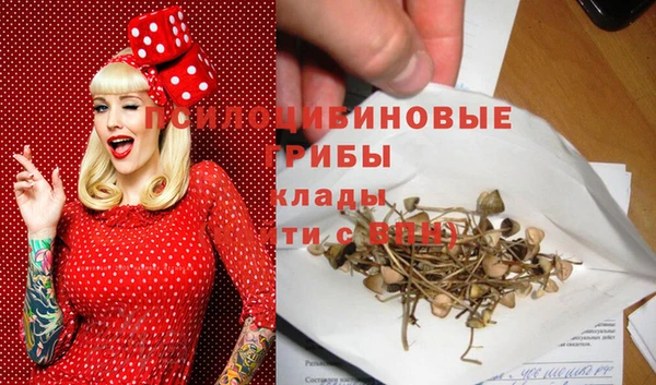 гидропоника Зеленокумск
