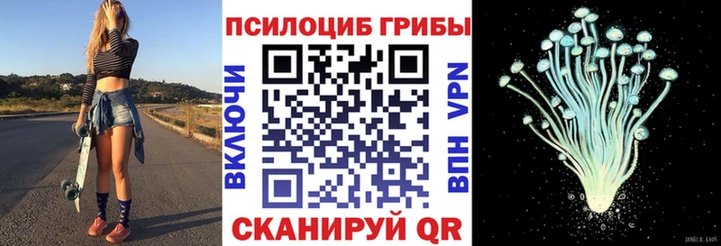 даркнет как зайти  Батайск  Галлюциногенные грибы Psilocybine cubensis  как найти закладки 